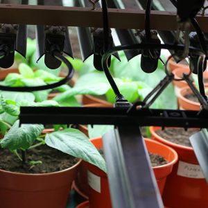 How to Reduce Plant Stress in Winter with the Right Growing Equipment