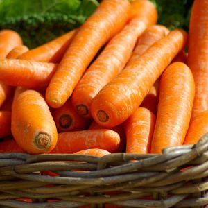 How to Extend Your Growing Season Past Summer in Canada