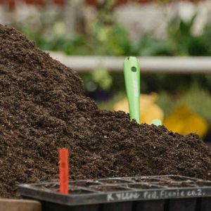 Winter Garden Wellness: Keeping Your Plants Happy Until Spring